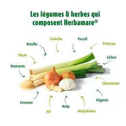 A.Vogel Herbamare Intense Sel Marin Plantes et Légumes Frais Bio 250g