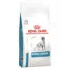 Royal Canin Veterinary Diet Chien Hypoallergenic 2kg