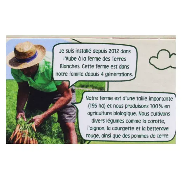 Blédina Les Récoltes Bio Pot Petits Légumes du Jardin Boeuf +6m 2X200g