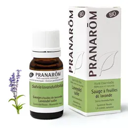 Pranarom Huile Essentielle Sauge à Feuilles de Lavande Sommité Fleurie Bio 10ml