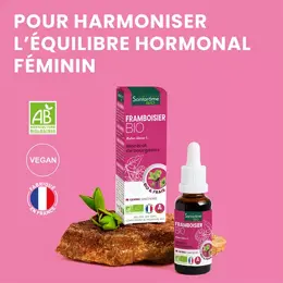 Santarome Bio -  Bourgeon Framboisier Bio - Gémmothérapie - Flacon de 30ml