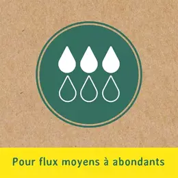 Nett 100% Coton Bio Tampon Normal avec Applicateur 16 unités