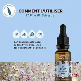 Biofloral Fleur De Bach 24 Pine Pin Sylvestre Compte Gouttes Bio Demeter 20 ml