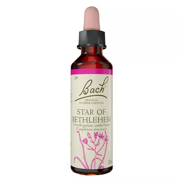 Flores de Bach 29 estrella de Bethlehem - estrella de Beln 20ml