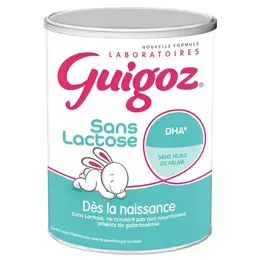 Guigoz Lait en Poudre Sans Lactose 1er Age 400g