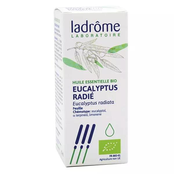 Ladrome aceite esencial eucalipto Radiata orgnicas 30ml