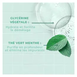 Energie Fruit Cheveux Shampoing Clean Détox Thé Vert & Aloe Vera 250ml