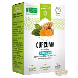 Dayang Curcuma Bio Sphère Articulaire 15 gélules