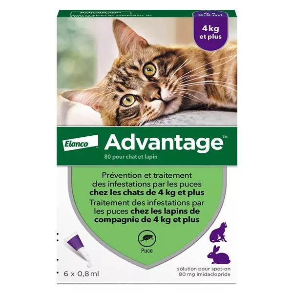 Advantage Solution Antipuce Chat Lapin +4kg 6 pipettes