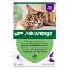 Advantage Solution Antipuce Chat Lapin +4kg 6 pipettes