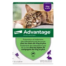 Advantage Solution Antipuce Chat Lapin +4kg 6 pipettes