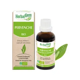 Herbalgem Macérat Concentré Pervenche Bio 30ml