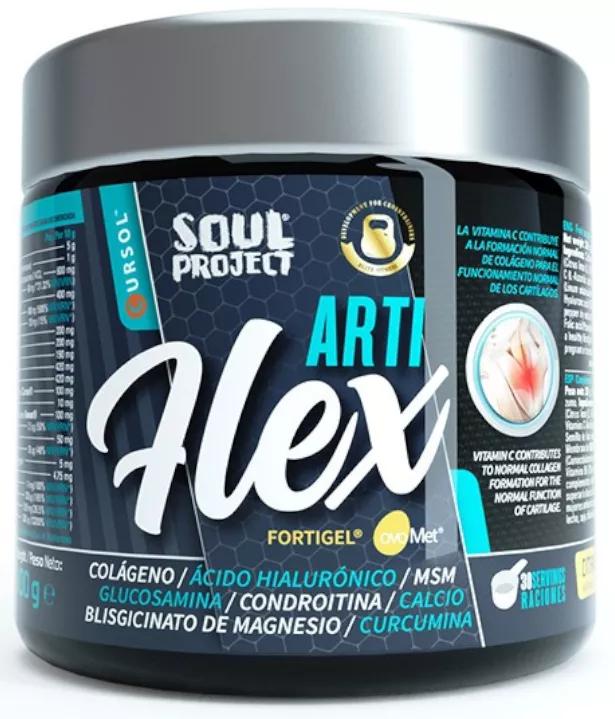 Nutrizione Ipertrofia Artiflex 300 gr