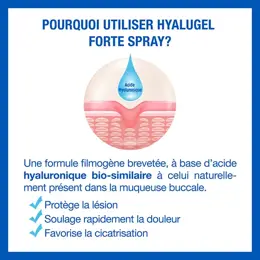 Hyalugel Gel Buccal Lésions Buccales Sévères et Douloureuses Tube 8ml