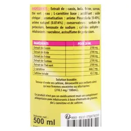 Les 3 Chênes Détoxlim Brûle-Graisses Saveur Piña-Colada P500ml