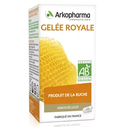 Arkopharma Arkogélules Gelée Royale Bio 45 gélules