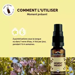 Biofloral Moment Présent Spray Bio Demeter Spray Emotions 20 Ml