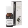 Haloma Huile Essentielle Eucalyptus Radiata Bio 10ml