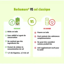 A.Vogel Herbamare Sel Marin Plantes et Légumes Frais Bio 500g