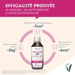 Vitavea Brûleur 4 en 1 Morosil Brûle Graisse, Cellulite, Métabolisme saveur pêche 400ml