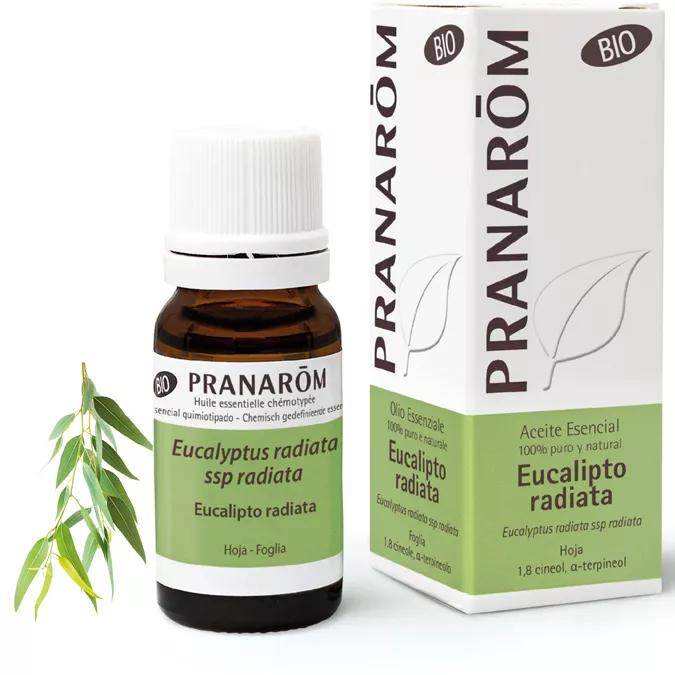 Essentiële olie Eucalyptus Radiata BIO Pranarom 10ml