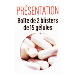 Dayang Microbiote G-Biote 30 gélules