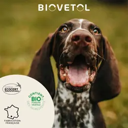 Biovetol - Antiparasitaire - Pipettes Moyen Chien Bio - 3ml (x3+1)