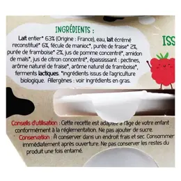 France Bébé Nutrition Brassés Yaourt Fraise Framboise Bio 4 x 100g