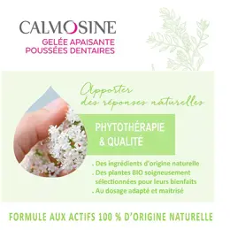 Calmosine Gelée Apaisante Poussée Dentaire Bio 15ml