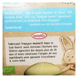 Babybio Desserts Lactés Pot Brassé au Lait de Brebis Mangue +6m Bio Lot de 2 x 130g