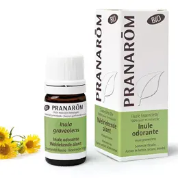 Pranarom Huile Essentielle Bio Inule Odorante 5ml