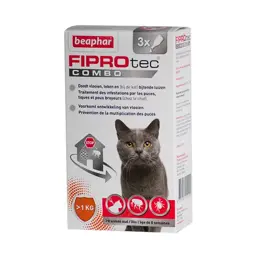 Beaphar Fiprotec Combo Pipettes Puces tiques et Poux Broyeurs Chats et Furets (>1kg) 0,5ml x 3 unités