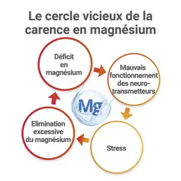 MAG 2 24H Magnésium Vitamine B6 Fatigue Nervosité 45+15 comprimés