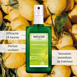 Weleda Citrus Déodorant 24h Bio 100ml