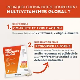 Vitavea Multi Vitamines Global Vitalité Equilibre nerveux 45 gélules