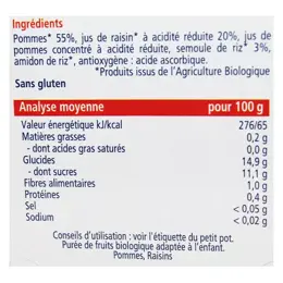 Hipp Bio Délices de Fruits Pot Pommes Raisins +4m 2 x 190g