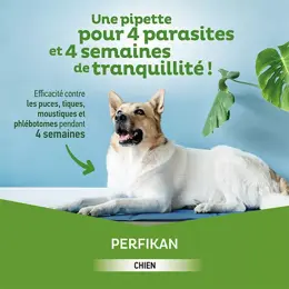 Clement Thekan Perfikan Anti-Puces Anti-Tiques Chien 4-10kg 4 pipettes