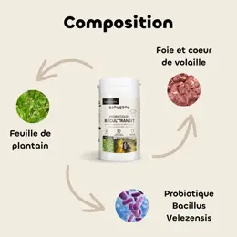 Biovetol -  Comprimés Régul'Transit Chien - 20 comprimés