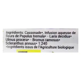 Kosmeo Complexe Fleurs de Bach 0% Alcool Doutes Incertitude Bio 120 granules