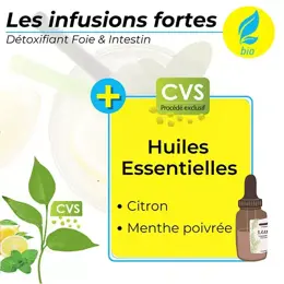 Nutrigée Infusion Détox 10 Plantes Bio 30 sachets