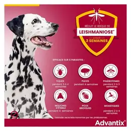 Advantix Chien Solution Antiparasitaire Très Grande Race 40 à 60kg 6 pipettes