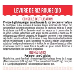 Dayang Levure de Riz Rouge + Q10 120 gélules