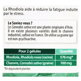 Juvamine Cannabis et Rhodiola 50 gélules végétales