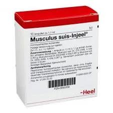 Guna Heel Musculus Suis Injeel 10 Fiale