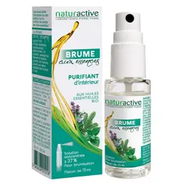 Naturactive Brume aux Essences Purifiant d'Intérieur 15ml