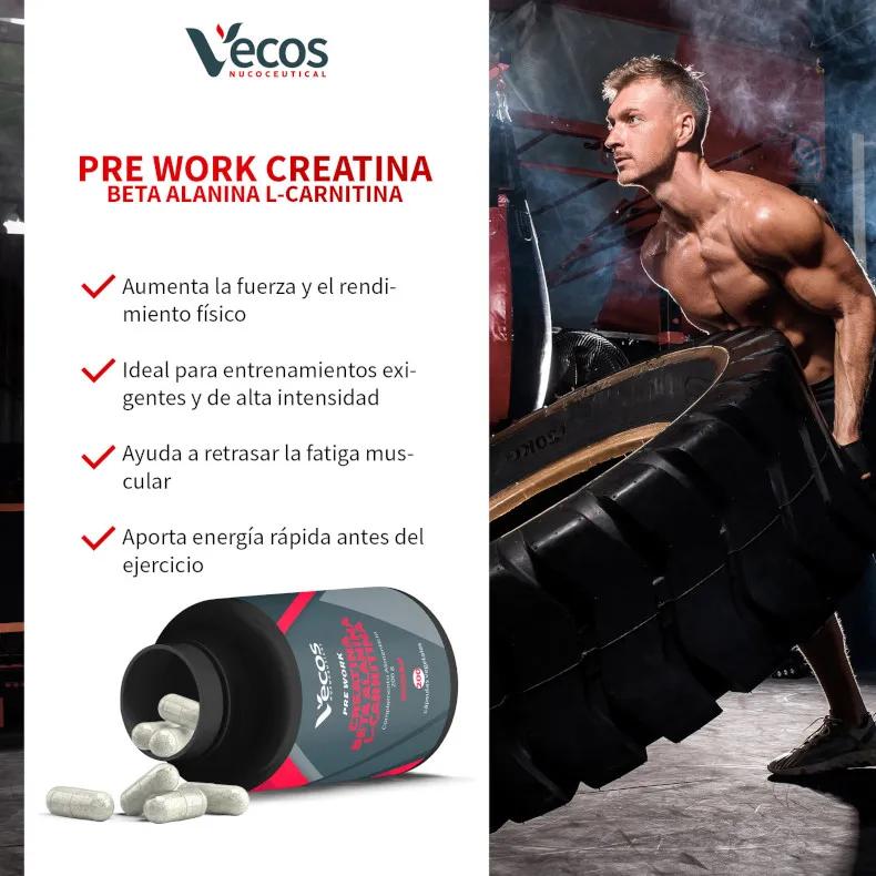 creatina l carnitina 12 IN 1 Creatine Monohydrate Gummies Complex 9000mg for Women and Men to Support Muscle, gummy with L-Carnitine, B12, BCAA 2:1:1, Sugar Free, Non-GMO & Vegan, 120 Gummies, Mixed Berry Creapure creatine monohydrate with Rjen fulvic mineral complex to support shortburst energy Carnidyn Plus Energy Supplement 20