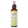 Fleurs de Bach® Original - Clematis 20ml