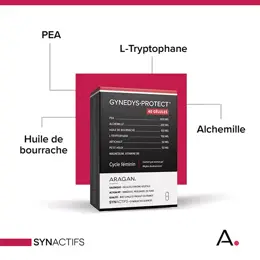 Synactifs Gynedys Protect Cycle Féminin 40 gélules