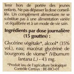 Herbalgem Macérat Concentré Viorne Bio 30ml