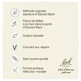 Fleurs de Bach® Original - Sweet Chestnut 20ml